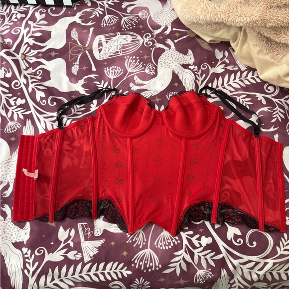 Sophie B. In Love Again Corset ALT color. - Picture 7 of 8